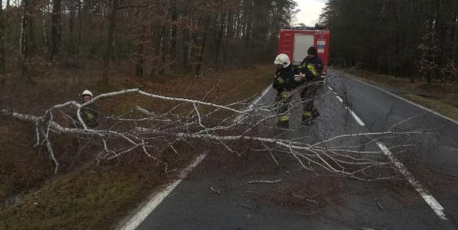 Uważajcie! Silny wiatr powala drzewa na drogach