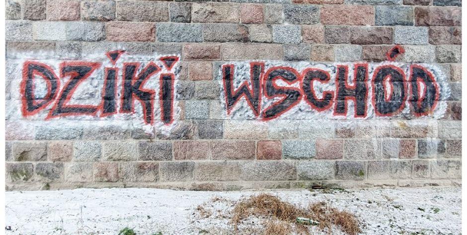 Fronołów: Namalować łatwo... Zmyć trudniej