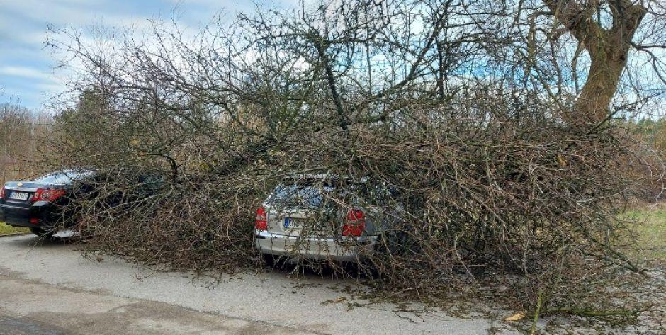 Wiatr wywołał wiele szkód. Sytuacja cały czas jest trudna