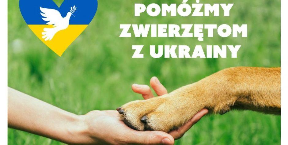 Zbiórka karmy dla zwierząt z Ukrainy 