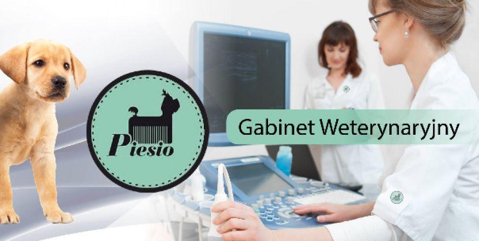 Gabinet Weterynaryjny Piesio bezpłatnie dla zwierząt uchodźców