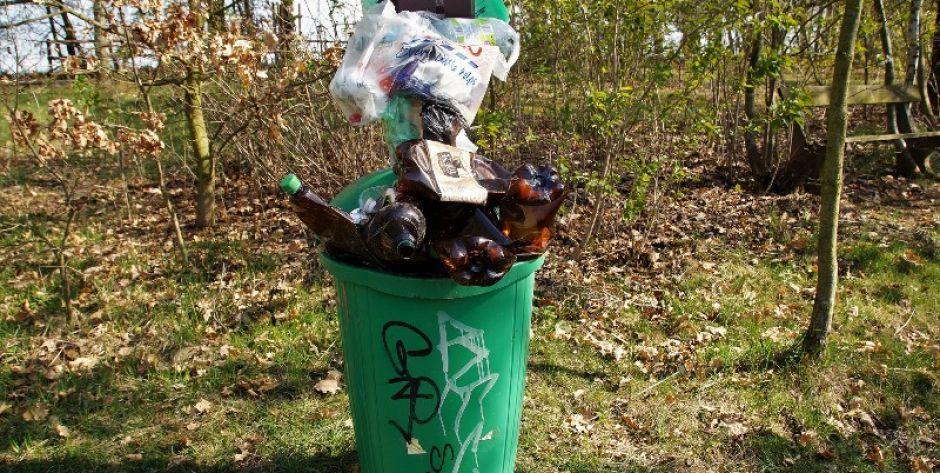 Łosickie Starostwo i Nadleśnictwo Sarnaki zapraszają do akcji sprzątania lasu 