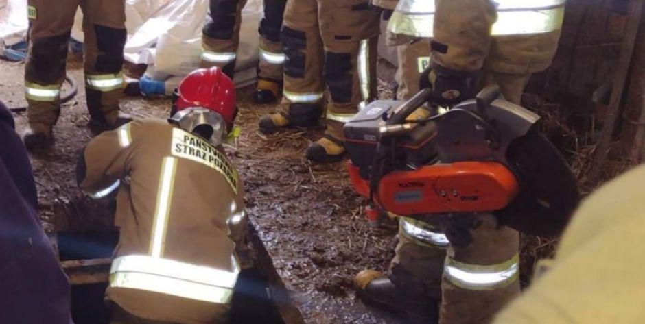 Gmina Platerów: Strażacy uratowali byka, który wpadł do szamba