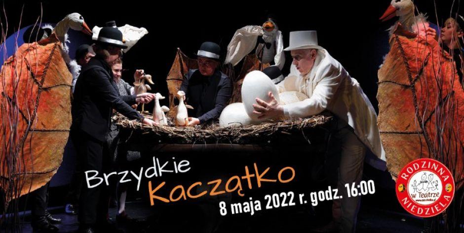 Brzydkie kaczątko w CKiS