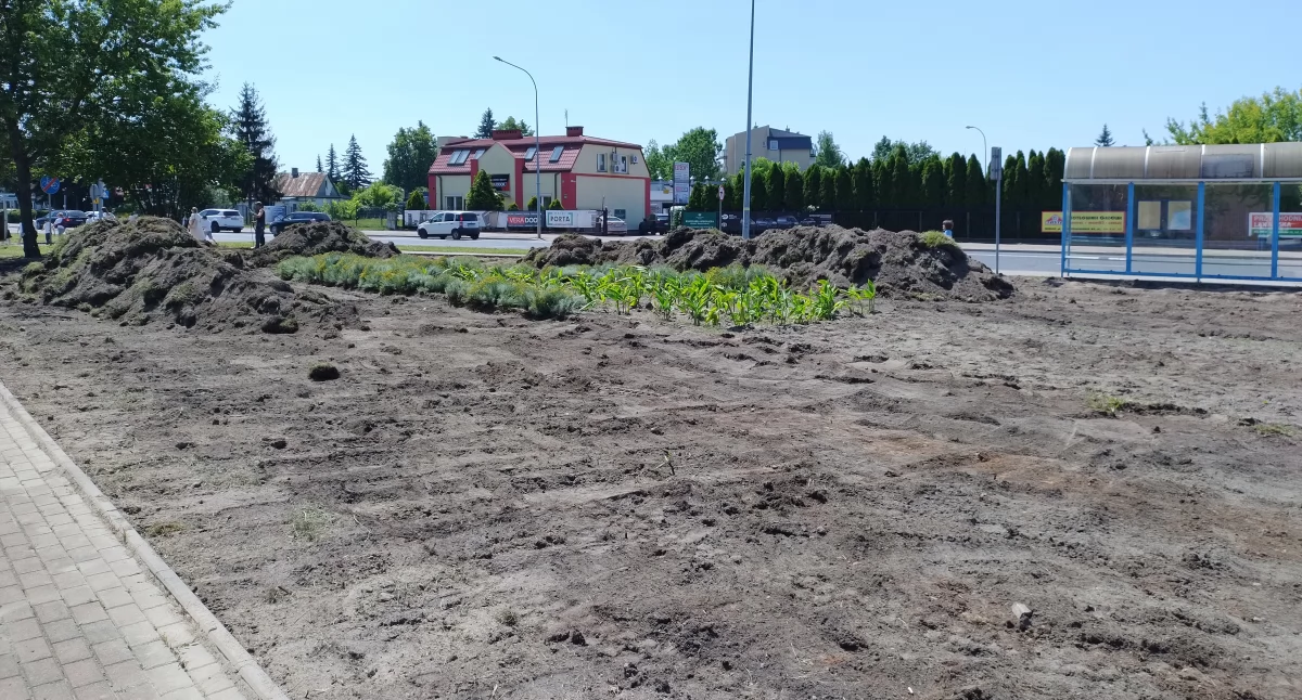 Siedlce: Powstaje park kieszonkowy