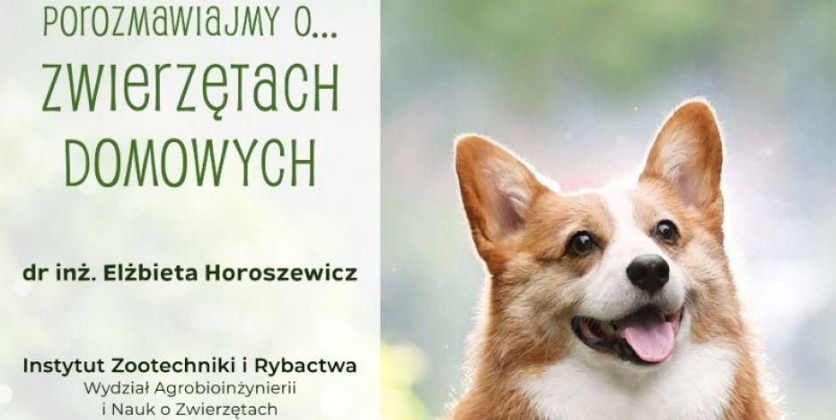 Zbuczyn: Wykład o zwierzętach
