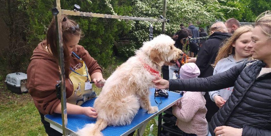  UPH w Siedlcach  zorganizował piknik ze zwierzętami. Zobaczcie galerię zdjęć!