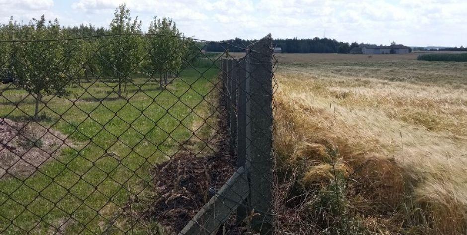 Zakrze: Wypalał trawę, mógł doprowadzić do pożaru okolicznych pól