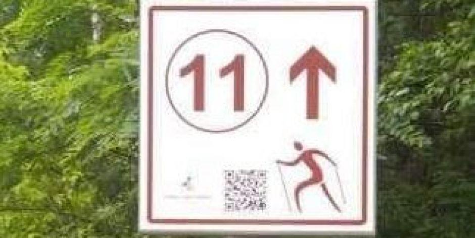 W gminie Wodynie wyznaczono trasy do nordic walking (mapa)