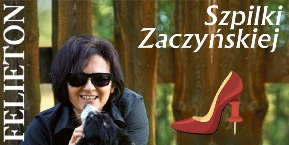 Lepiej pokażcie kotka - najnowszy felieton Marioli Zaczyńskiej
