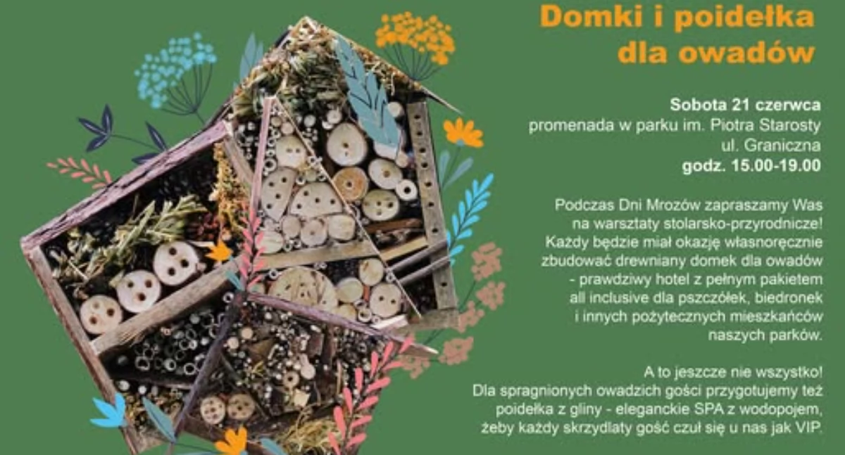 Zbuduj hotel dla biedronek
