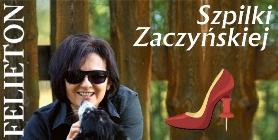 Wyobrażacie sobie  Kaczyńskiego na froncie? - najnowsze Szpilki Zaczyńskiej