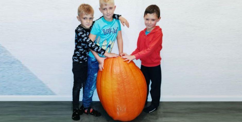 Dynia gigant z Trzebieszowa. Waży aż 42 kg!