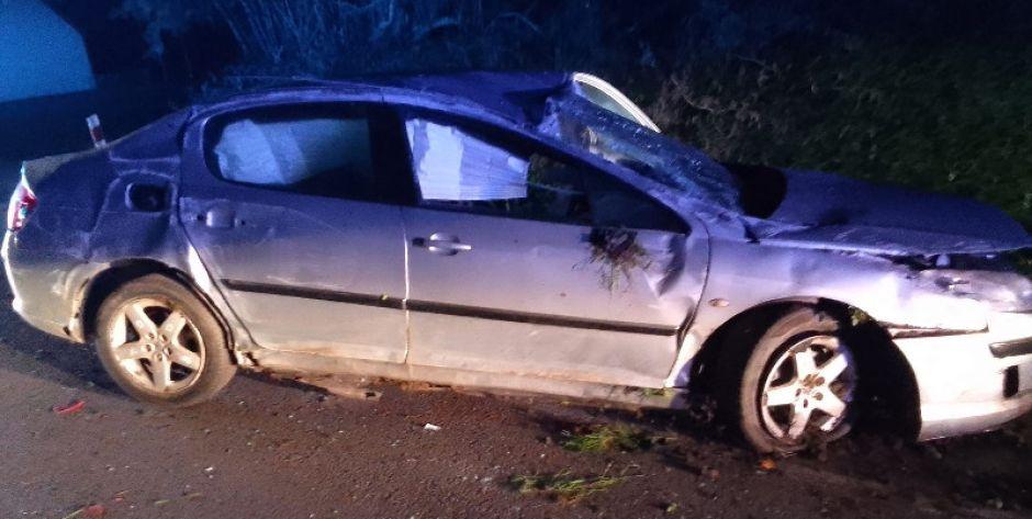 Nie chciał zderzyć się z sarną, zatrzymano mu prawo jazdy