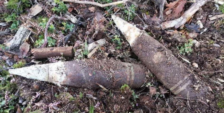 Samogoszcz: W lesie znaleziono dwa niewybuchy