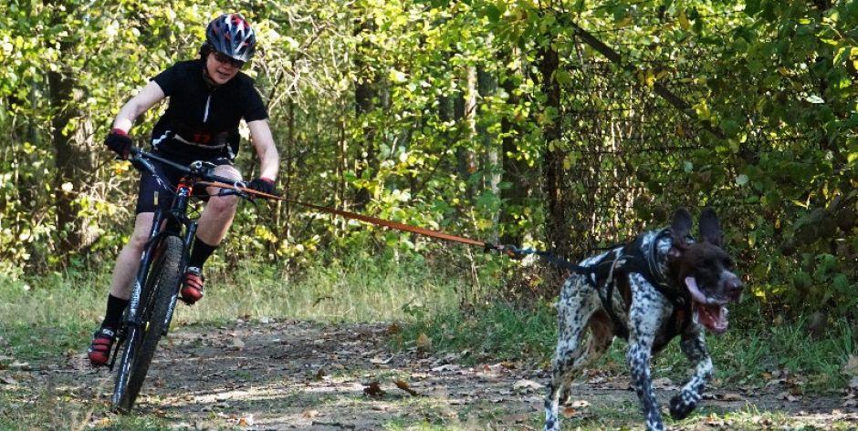 Święto psich sportów w Siedlcach (zdjęcia)