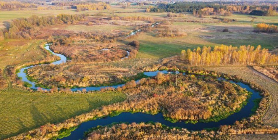Pięknie wije się Liwiec - zobacz zdjęcia z drona