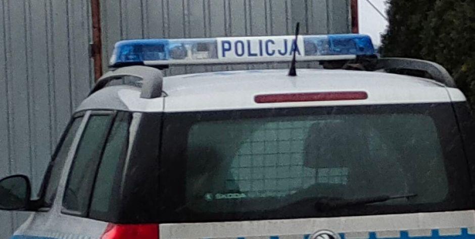Łoś dostał leki i pobiegł do lasu