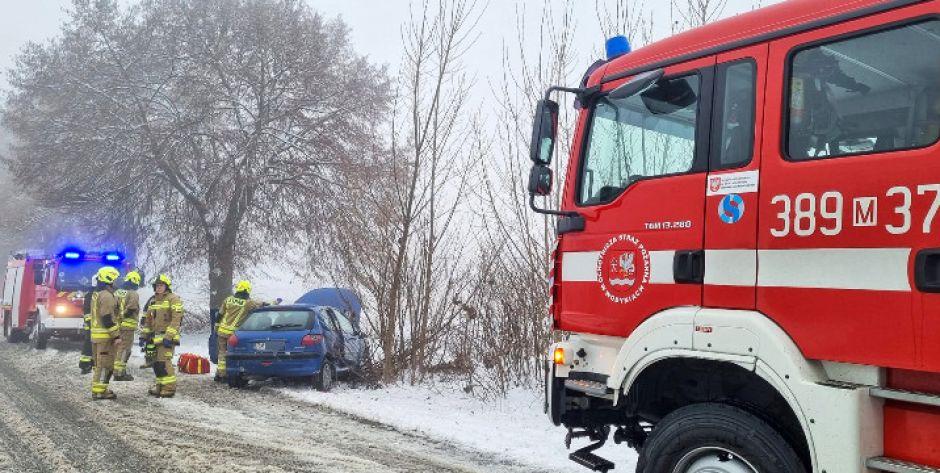 Stracił panowanie i uderzył w niewielkie drzewo