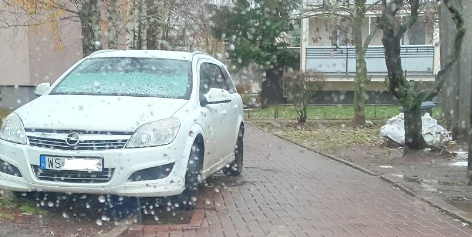 Mistrz parkowania...