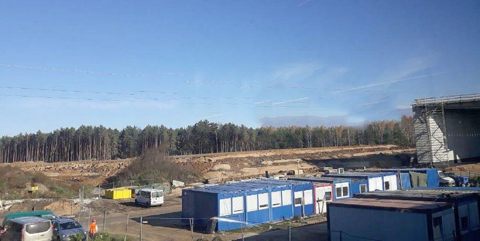 O wycince lasu nikt nie poinformował właściciela