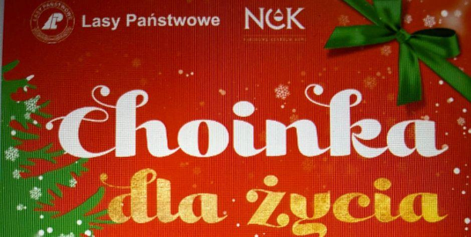 Oddaj krew - otrzymasz choinkę. Akcja Choinka dla życia