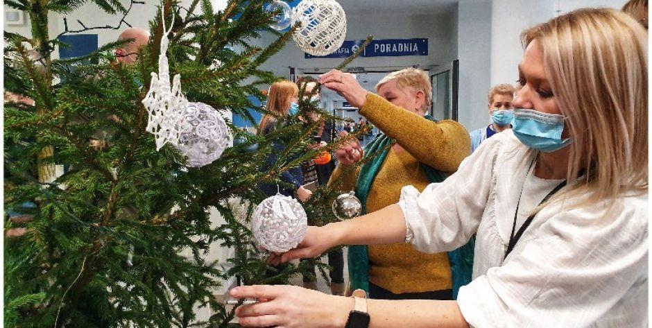 Choinki od Nadleśnictwa Siedlce dla Siedleckiego Centrum Onkologii