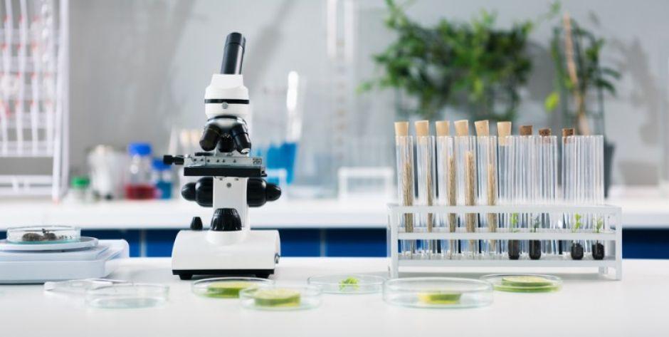 Wyposażenie laboratorium - co warto wiedzieć?
