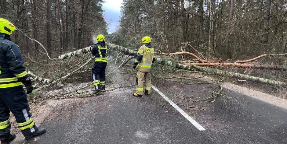 Powalone drzewa blokują drogę w kierunku Siedlec