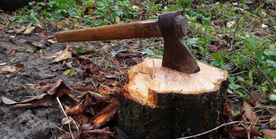 Stoczek Łukowski: Larum, chłopy tną miejski las