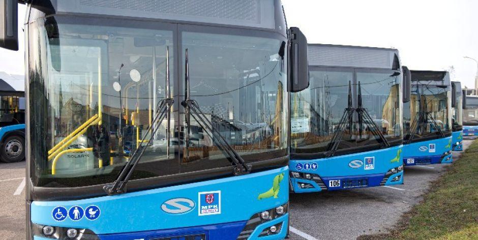 Czy w Siedlcach komunikacja miejska powinna być bezpłatna? 