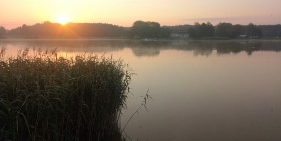 Czasowy zakaz połowu ryb w siedleckim zalewie