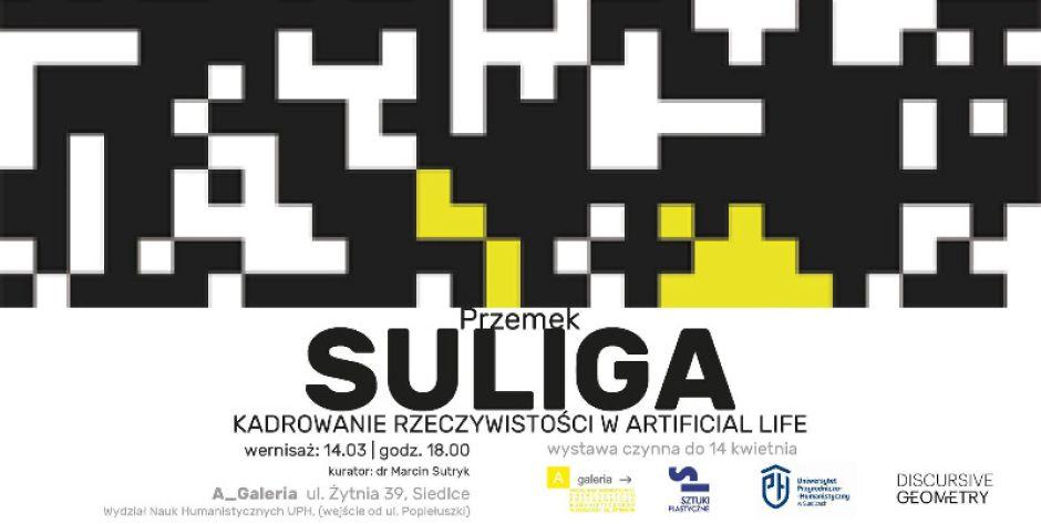 Technologia wykorzystana w sztuce Przemka Suligi