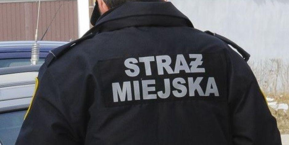 Siedleccy strażnicy miejscy nie szastają mandatami 