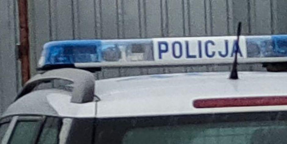 Sarna padła na miejscu