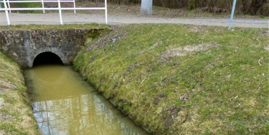 Donośnikiem do siedleckiego zalewu płynie zielonkawa woda