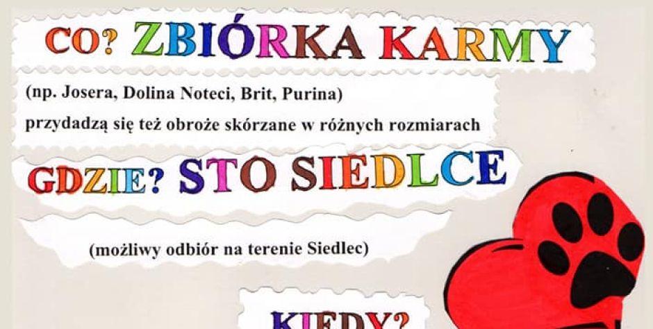 Dzieci z STO zbierają karmę dla zwierząt! Pomożecie? 