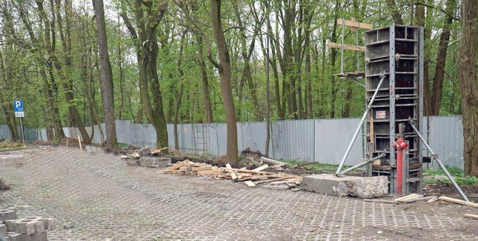 Park Aleksandria w Siedlcach: Udało się uratować 21 drzew, które wcześniej kwalifikowano do wycinki