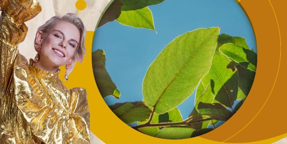 Piknik ekologiczny z koncertem Alicji Janosz