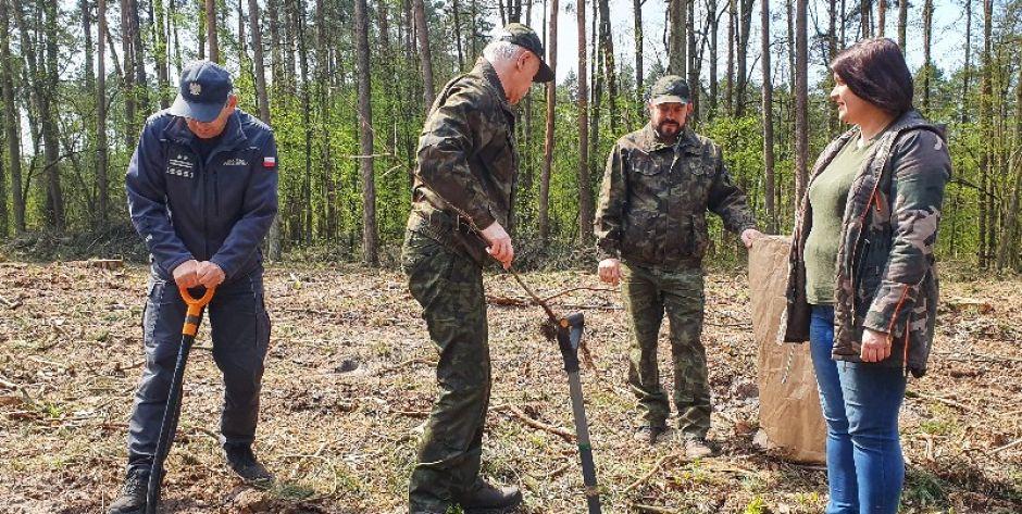 Więźniowie posadzili dęby