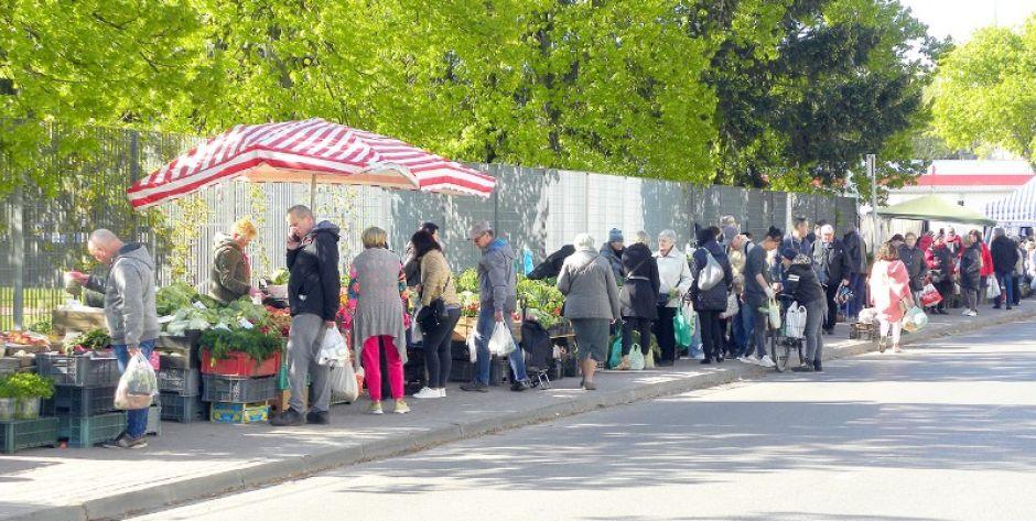 Czy ludzie handlujący jajkami czy pietruszką mają pojechać na Księżyc? 