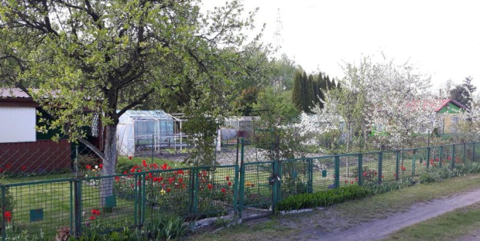 Siedlce: Coraz drożej za ogródki działkowe