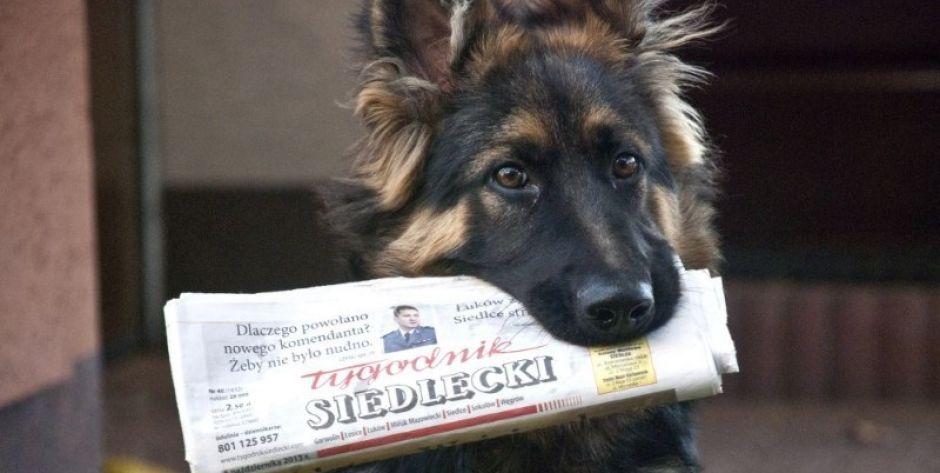 Nowy „TS” ze zwiększoną objętością - Mnóstwo ciekawych tematów!