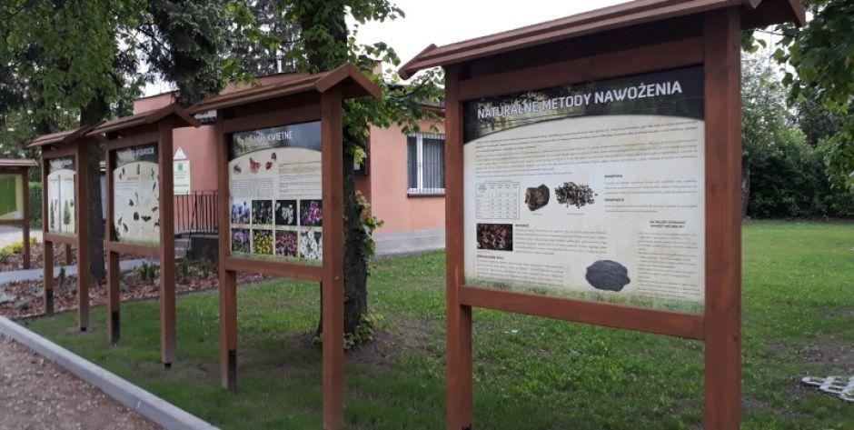 ROD Złote Piaski: Kwietna łąka zamiast betonu