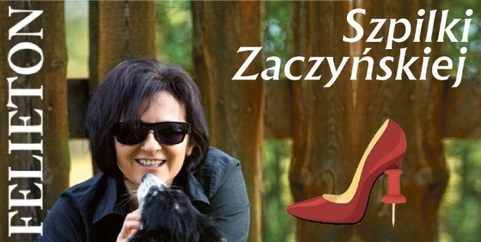 Jednorożec Jarosław i kraina szczęśliwości - najnowszy felieton Marioli Zaczyńskiej