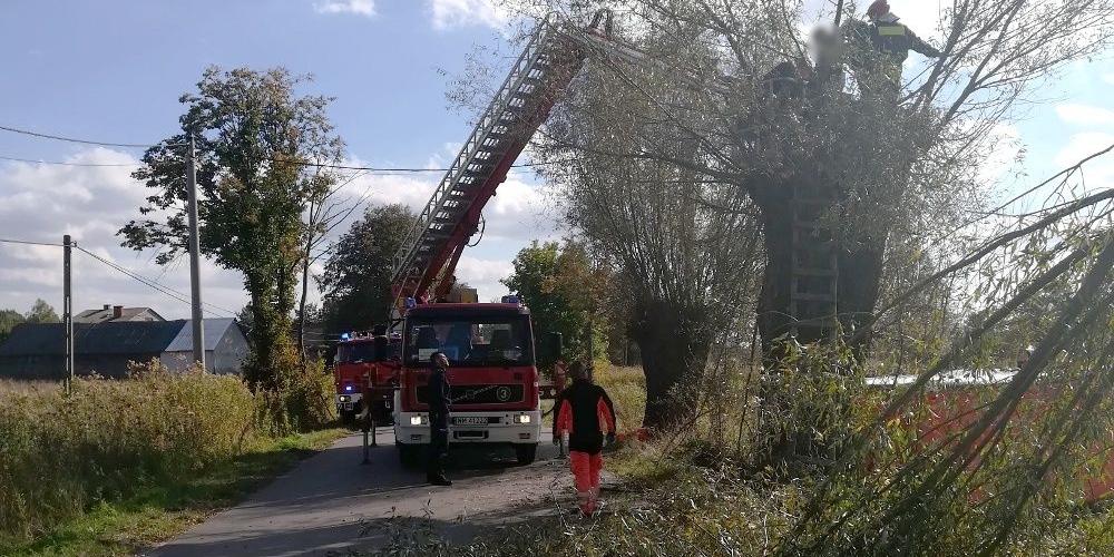 Mężczyzna z siekierą na drzewie. Stanowił zagrożenie dla siebie i innych