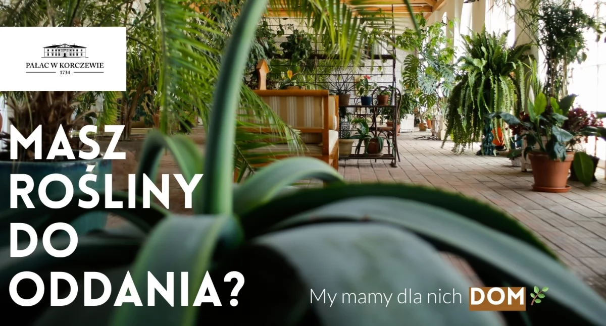 Nie masz miejsca na rośliny? Pałac w Korczewie chętnie się nimi zaopiekuje!