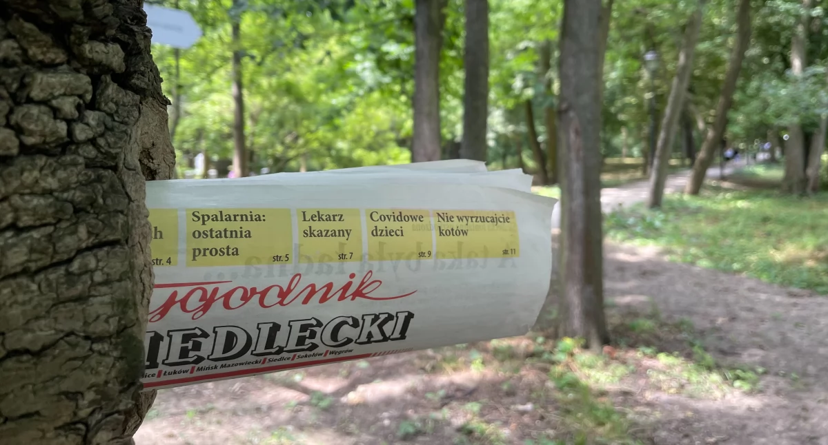 O tajemniczych szczątkach znalezionych w piwnicy i nie tylko - obejrzyj zapowiedź nowego numeru TS!