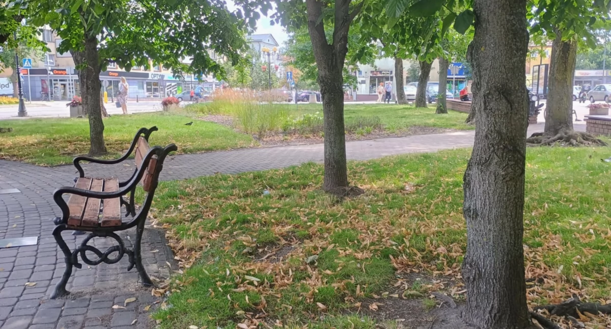 Siedlce: Będzie więcej parków kieszonkowych!