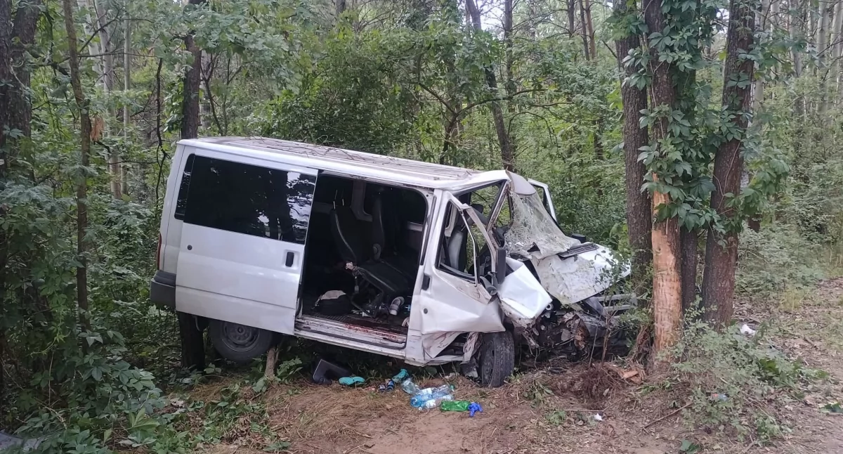 Bus uderzył w drzewo. Wszyscy pasażerowie ranni